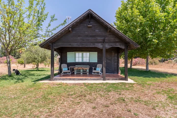 La Cabaña de Doñana - 4